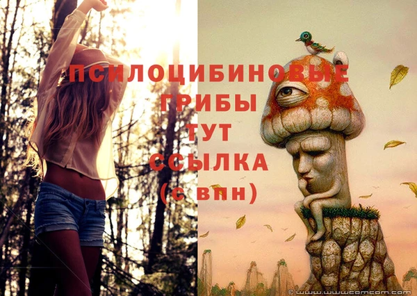 герыч Баксан